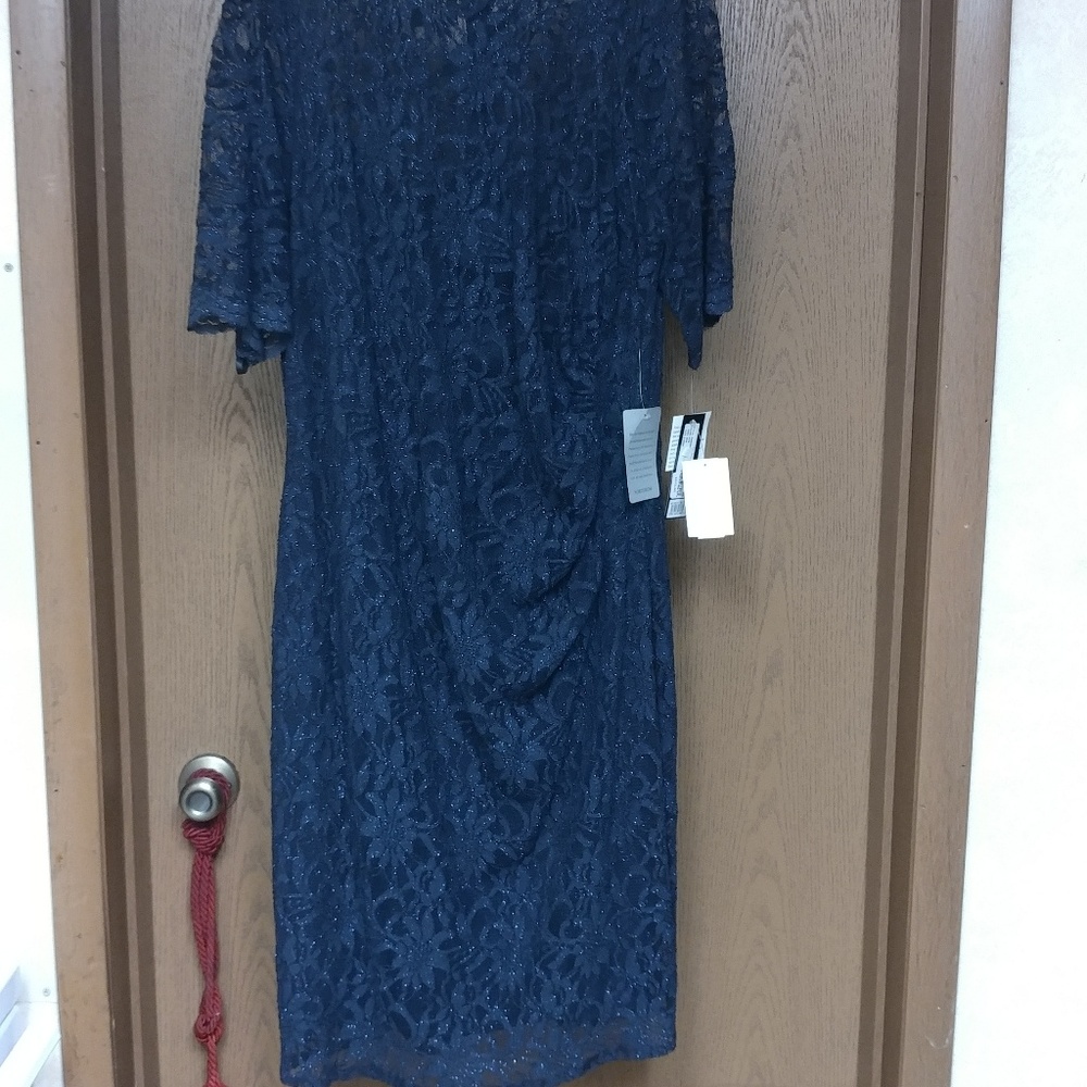 Mother of Bride Dress or After 5 Dress